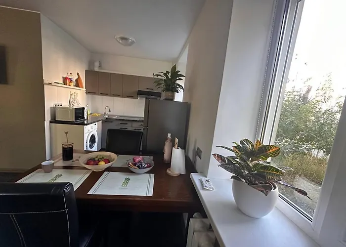Comfy Apartment In The Center